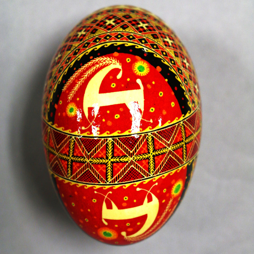 Pysanka - Decorated Goose Egg Shell