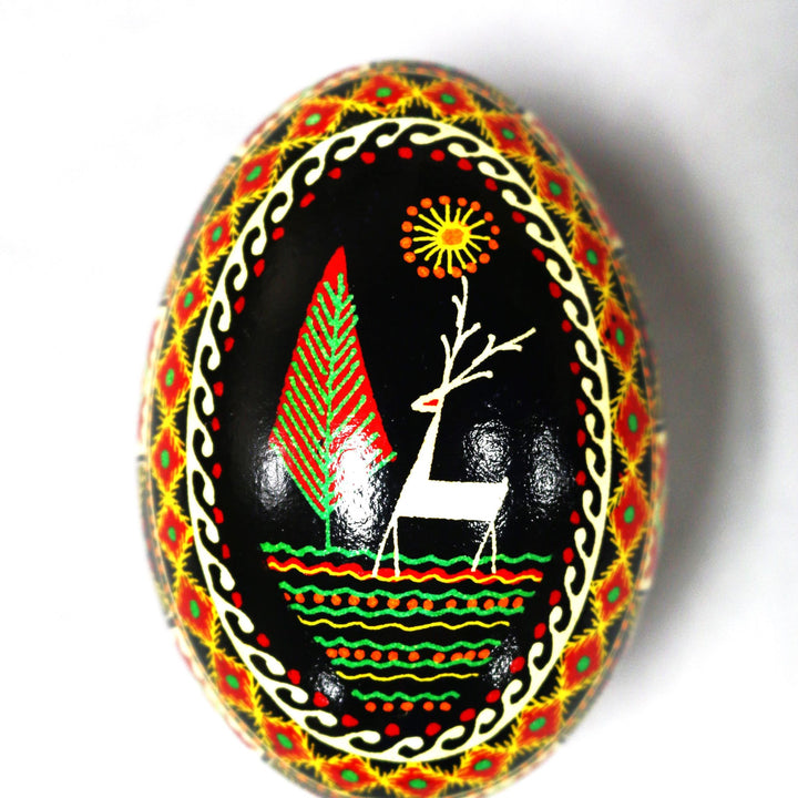 Pysanka - Decorated Goose Egg Shell