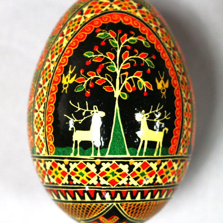 Pysanka - Decorated Goose Egg Shell