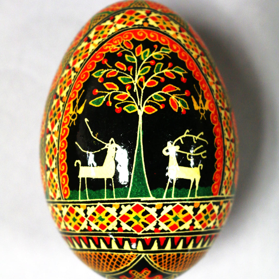 Pysanka - Decorated Goose Egg Shell