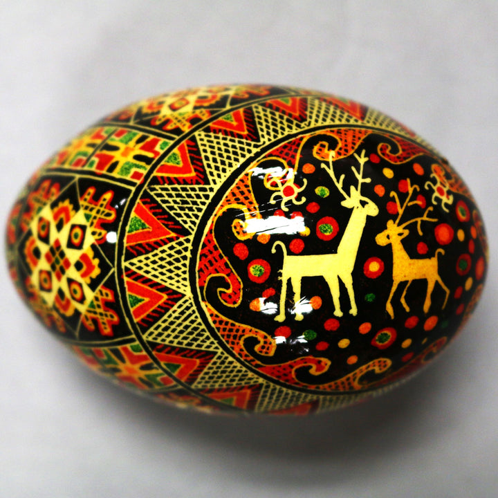 Pysanka - Decorated Goose Egg Shell