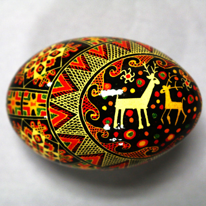 Pysanka - Decorated Goose Egg Shell