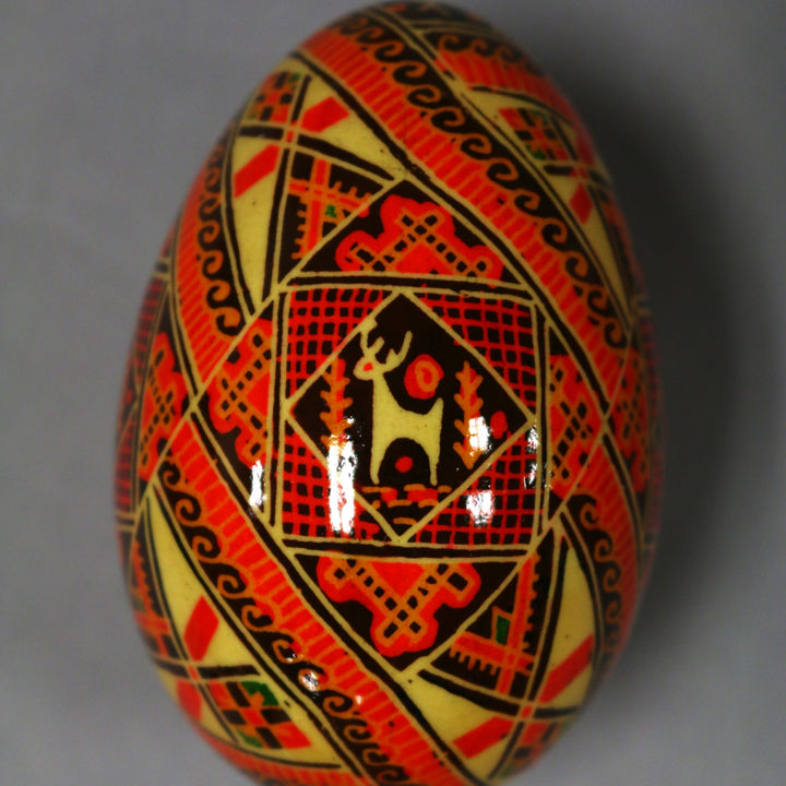 Pysanka - Decorated Goose Egg Shell